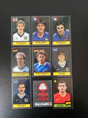 Panini plastic football - -,