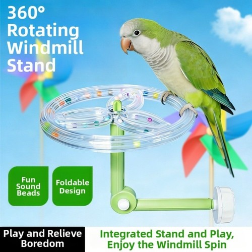 Parrot playstand bird play - parrot,