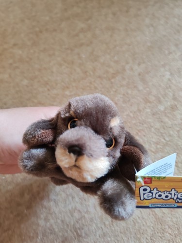 Petooties pets russ dachshund - russ,