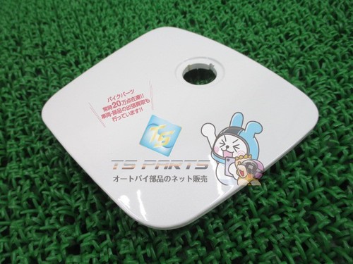 White shelter lid - white,