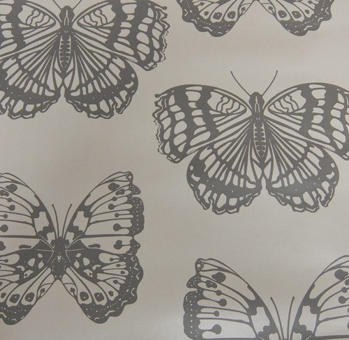 Wallpaper roll brown butterfly - wallpaper,