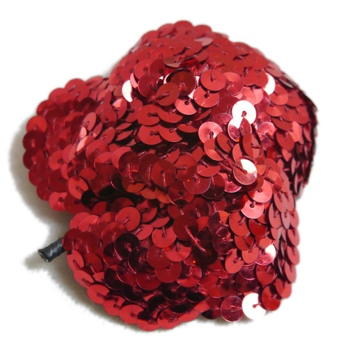 Authentic chanel camellia - chanel,