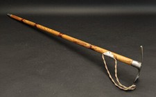 Rare Unusual Walking Stick