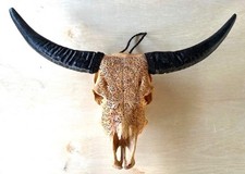Hand-Carved Mandala Cow Skull