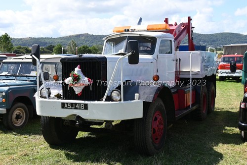 Truck photo 12x8 diamond - 12x8,