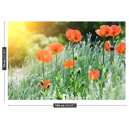 Non woven wall mural photo - wall,