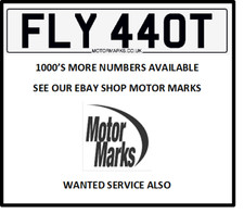 FLY 440T CHERISHED NUMBER PLATE FLY PLANE SKY AEROPLANE PILOT FLIER FLY 440T FLY