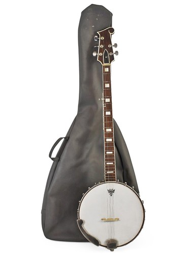 Remo weatherking banjo - remo,