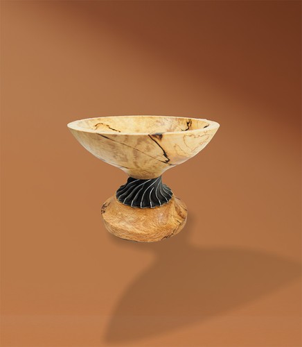 Spalted beech bon - spalted,