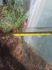 Greenhouse Glass 20 X 18 By 20, Sheets