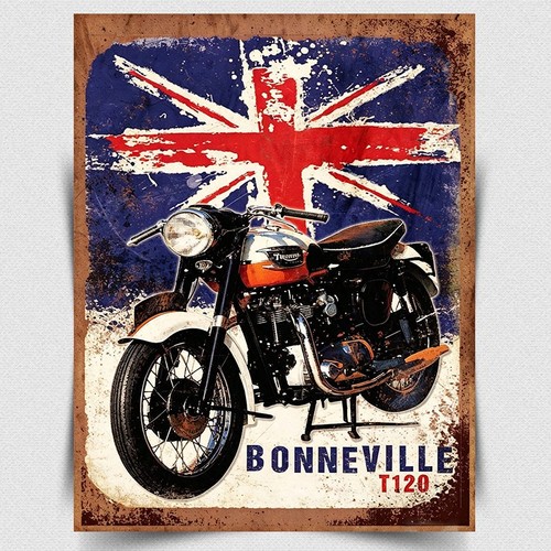 Triumph the best motorcycle - triumph,