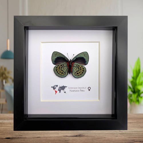 Framed leprieur glory - framed,