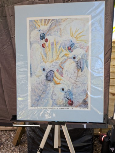 Gill bustamante cockatoos - "cockatoos, &