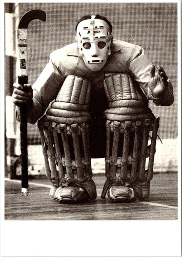 Sports hockey player - sports/hockey,