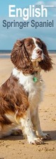 English Springer Spaniel Slim