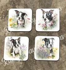 Boston terrier puppy design