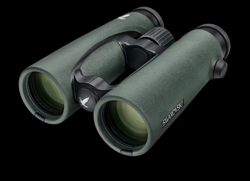 Swarovski 10x42 green - swarovski,