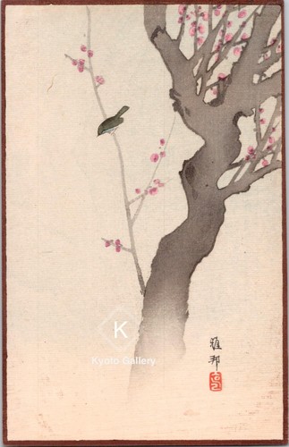 Hashimoto gaho bird plum - gaho,