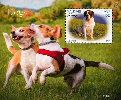 Dogs - dogs, (st.