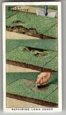 1938 Wills's Cigarettes Garden