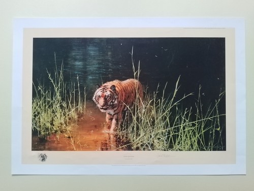 David shepherd jungle - david,