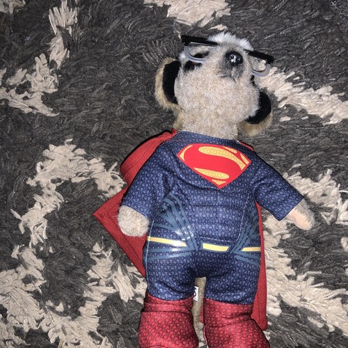 Sergi superman meerkat - sergi,