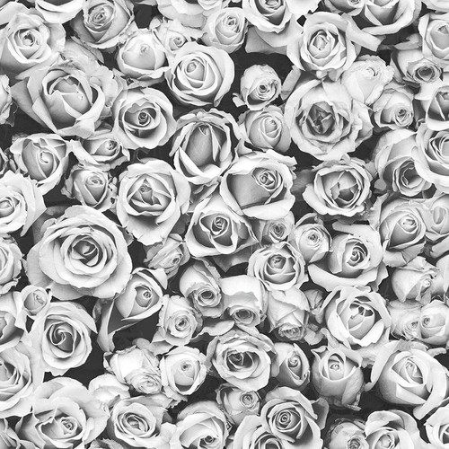 Muriva rosalee floral - floral, small