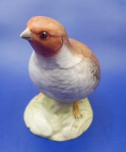 Aynsley partridge wild bird - aynsley,