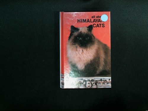 All about himalayan - himalayan, cats