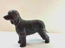 Irish Water Spaniel Standing