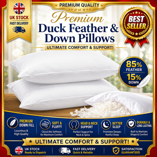 Duck feather down - feather, pillows
