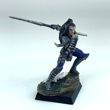 Drow Warrior - Painted - Dark