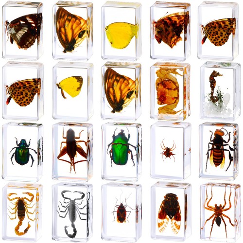 Pcs insect resin bug - resin,
