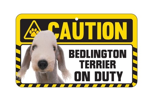 Dog sign caution - dog,