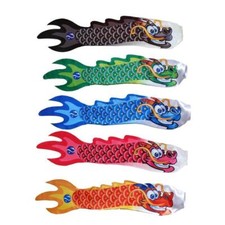 5 Types Chinese Dragon Carp