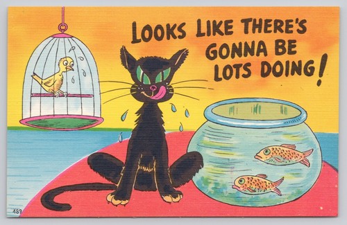 Humorous black cat bird - humorous,