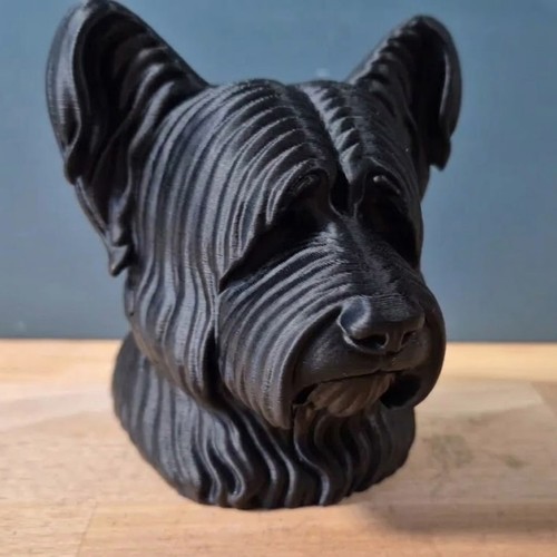 Skye terrier dog - skye,
