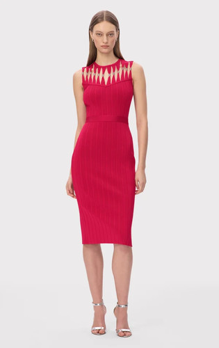 Nwt herve leger - paris, louise