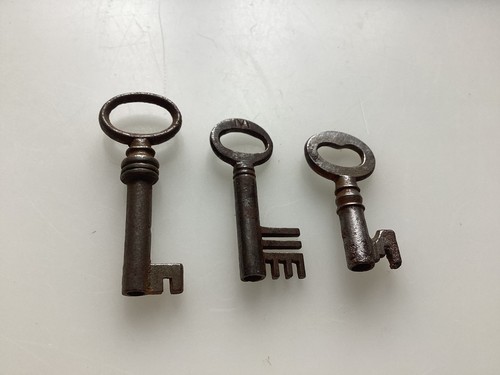 Distinctive looking small - distinctive,