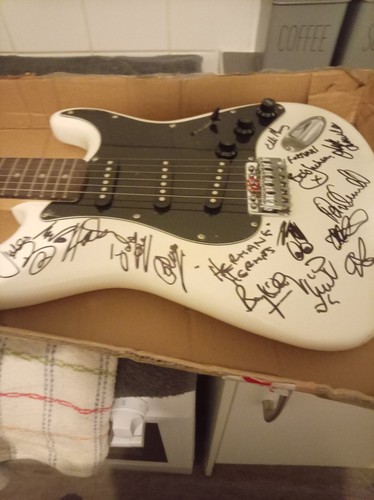 Hermons hermits signed guitar - hermons,