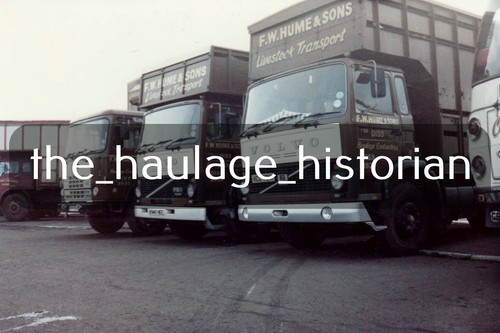 Thh truck photos - photos, seddon