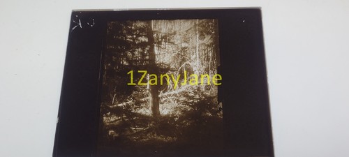 Ae14 lantern glass slide needs - lantern,