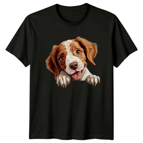Cute brittany spaniel dog - brittany,