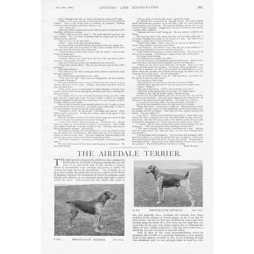 Airedale terriers belonging - airedale, to