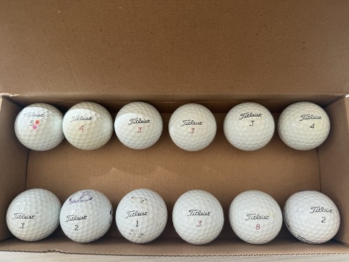 Titleist pro golf balls - pro,