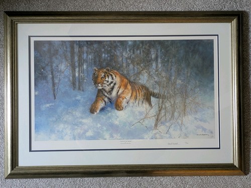 David shepherd tiger - david, in