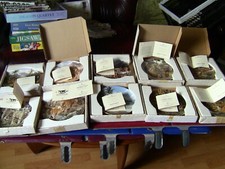 Royal doulton fine bone china plates TIGERS OF THE WORLD full set of 12 1996