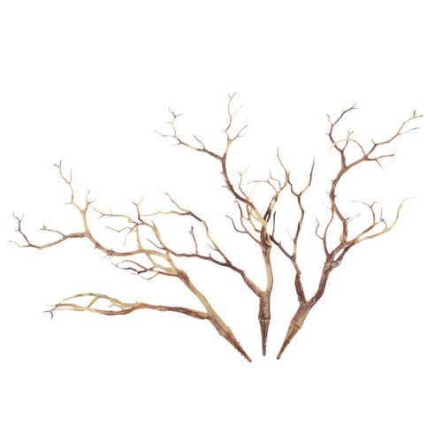 3pcs dry branches stems twigs - dry,