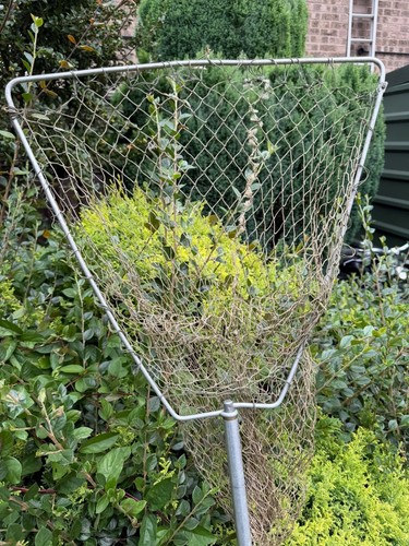 Folding salmon fishing net - fishing,