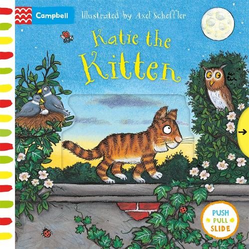 Katie the kitten - katie, push